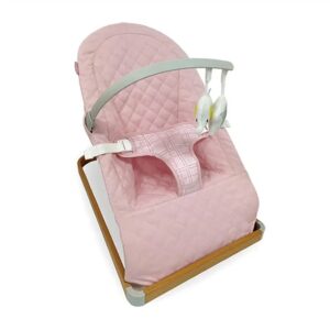 My Babiie Dani Dyer Pink Plaid Baby Bouncer